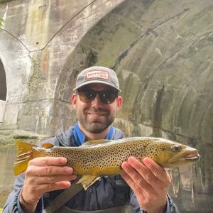 Meet your Posher, Alexander